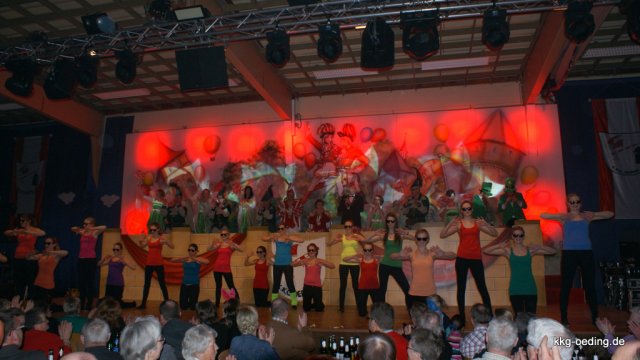 2013.01.26  Unser Kappenball 2013